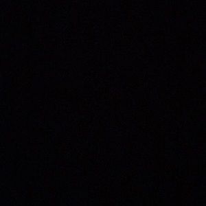 Meet your Posher, Tanner